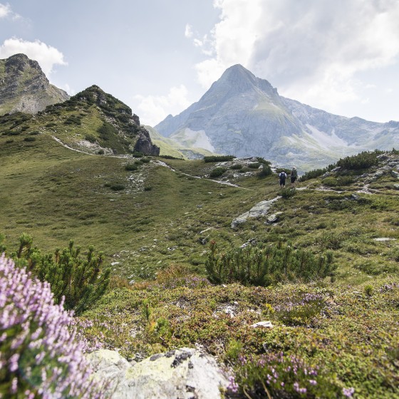 arena tour alpinissimo8 1782307998